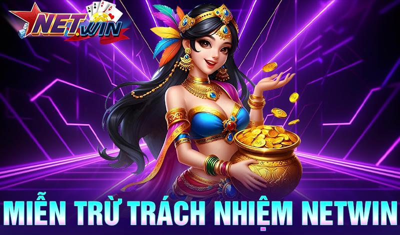 Miễn trừ trách nhiệm Netwin